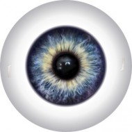 Глаза для кукол, размер глаза 10 мм, полусфера арт. 1кн
